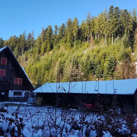 Gut Lauterbad Hotel-2
